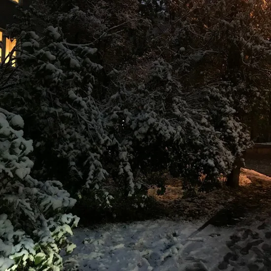 Первый снег