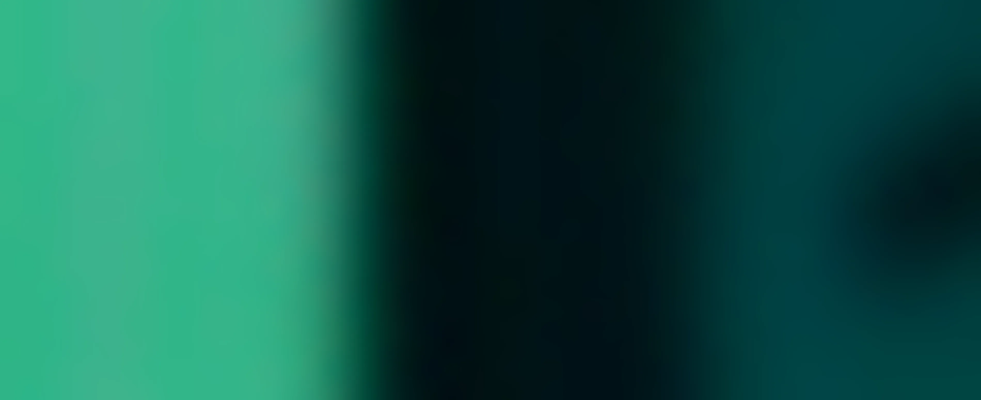 Low Poly Forest Assets