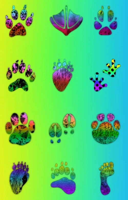 Отпечатки лап