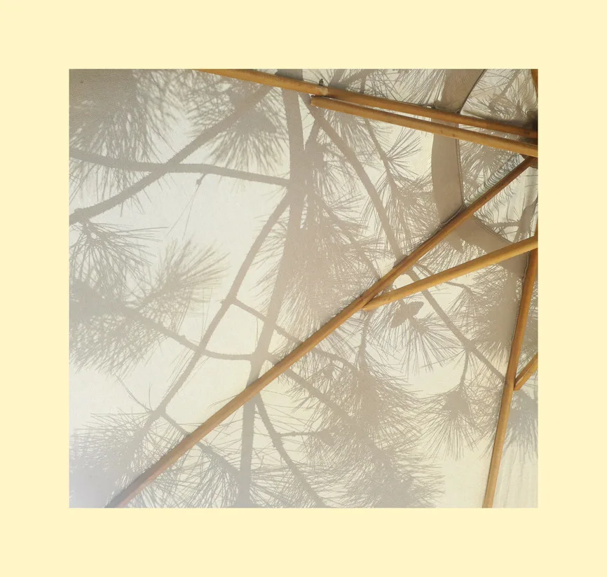 Елки-палки из Бердянска