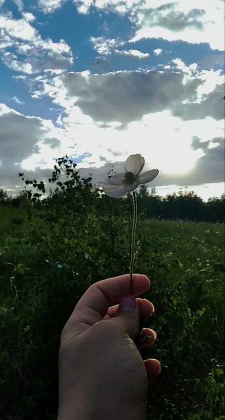 цветок в руке