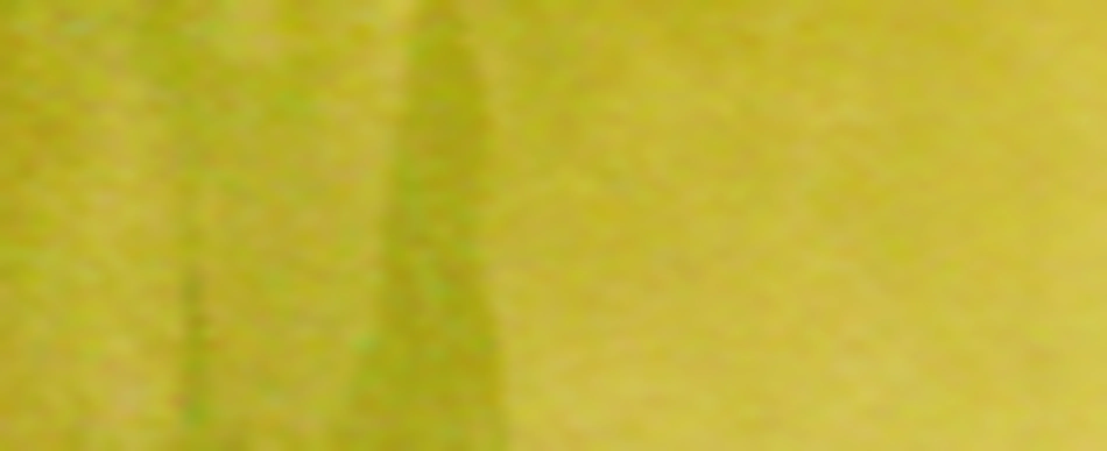 Pack Icons The Knight's Order