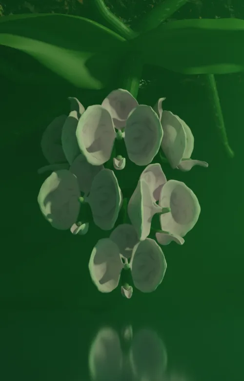 Ядовитая орхидея